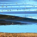 texture_eau